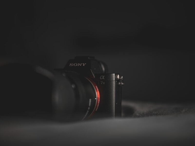 Sony FE 100-400mm f/5.6-8: Budget Telephoto Finally Arrives