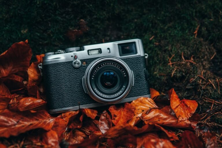 Capture Fall’s Beauty: 15 Mirrorless Cameras on Sale