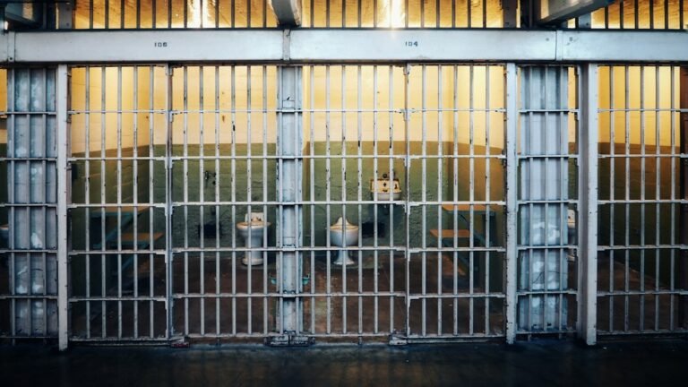 Portrait Photographer Sentenced to Five Years for Elaborate $4.6M Family Fraud Scheme