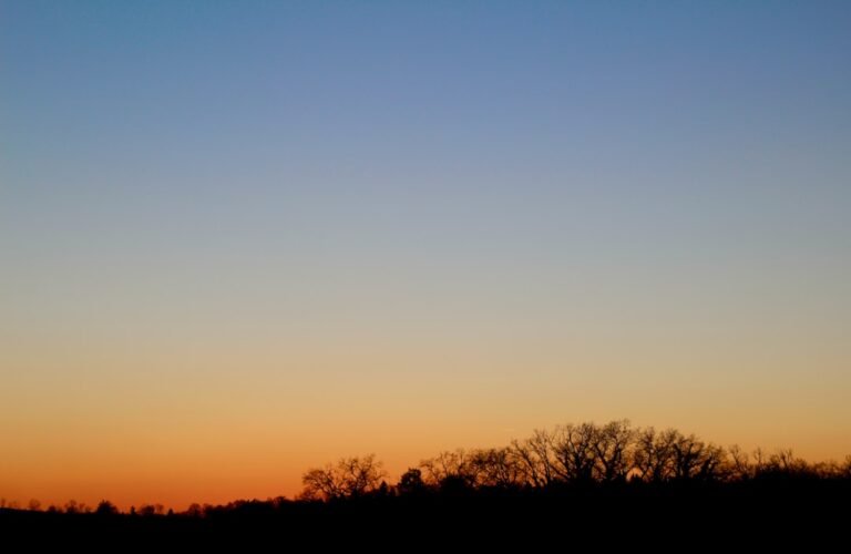 Revitalize Your Golden Hour Photography: Common Mistakes and Solutions