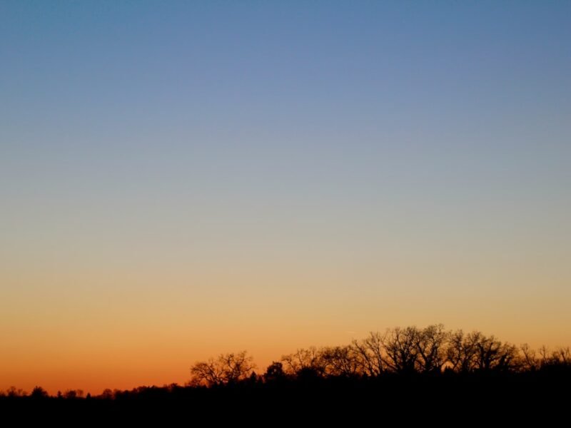 Revitalize Your Golden Hour Photography: Common Mistakes and Solutions