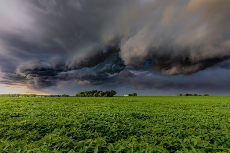The Golden Hour Paradox: Capturing Light When Time Runs Out