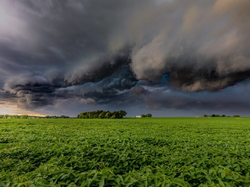 The Golden Hour Paradox: Capturing Light When Time Runs Out
