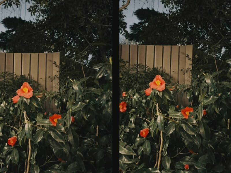 How AI-Generated Imagery Distorts Human Memory