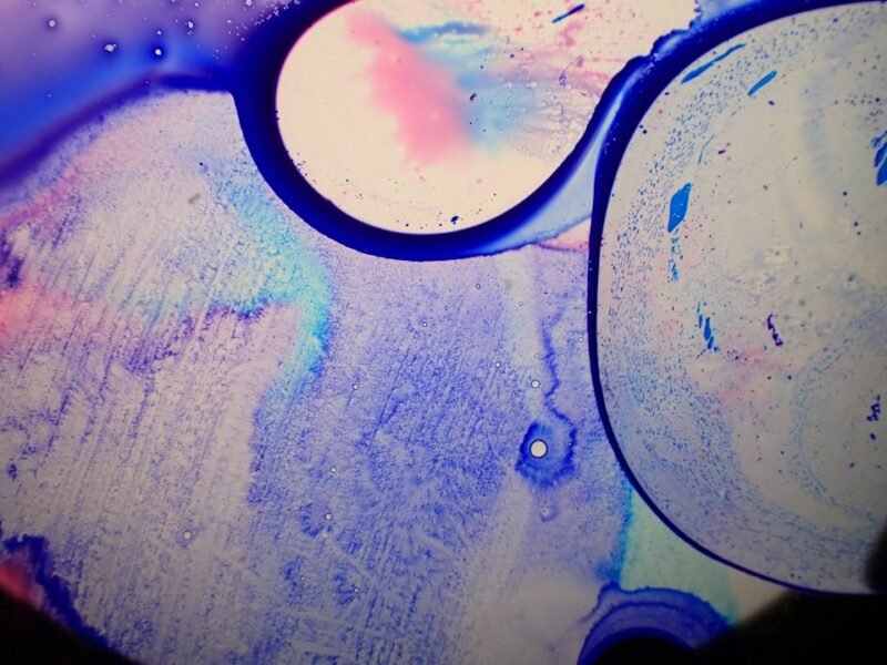 Nikon’s 52nd Microscopy Competition Unveils Hidden Realms