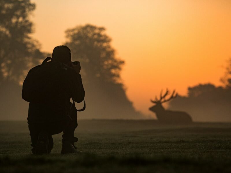 World Press Photo Expands 2027 Competition With New Genre Categories