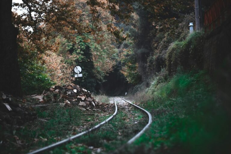 Young Photographer Detained Over Destructive Train Photography Incident