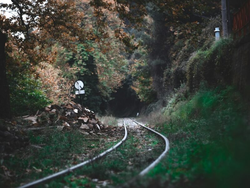 Young Photographer Detained Over Destructive Train Photography Incident